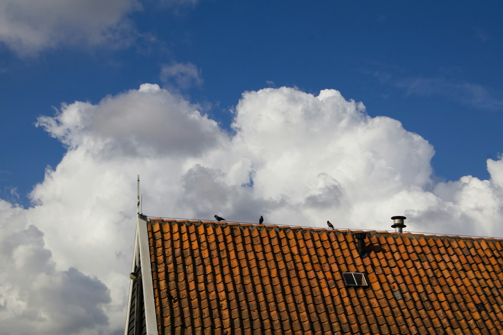 Optimaal Salderen: Maximaal Voordeel uit Teruglevering